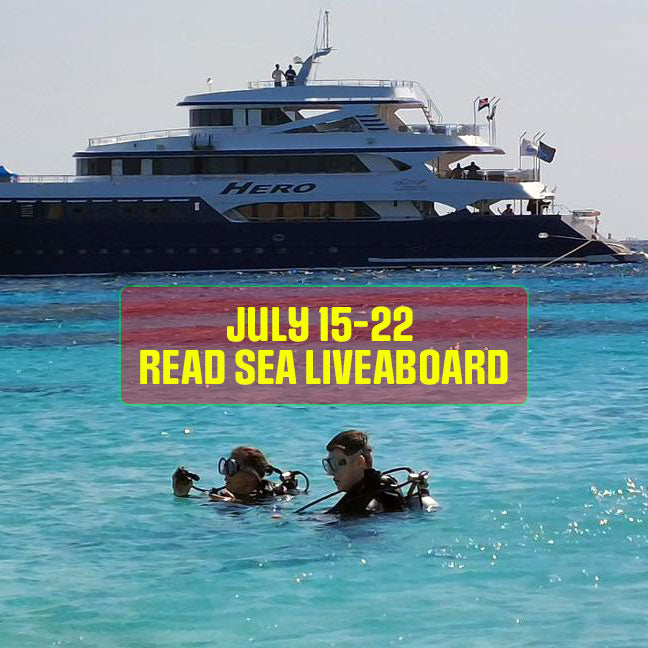 Red Sea Liveaboard - July 15th to 22nd